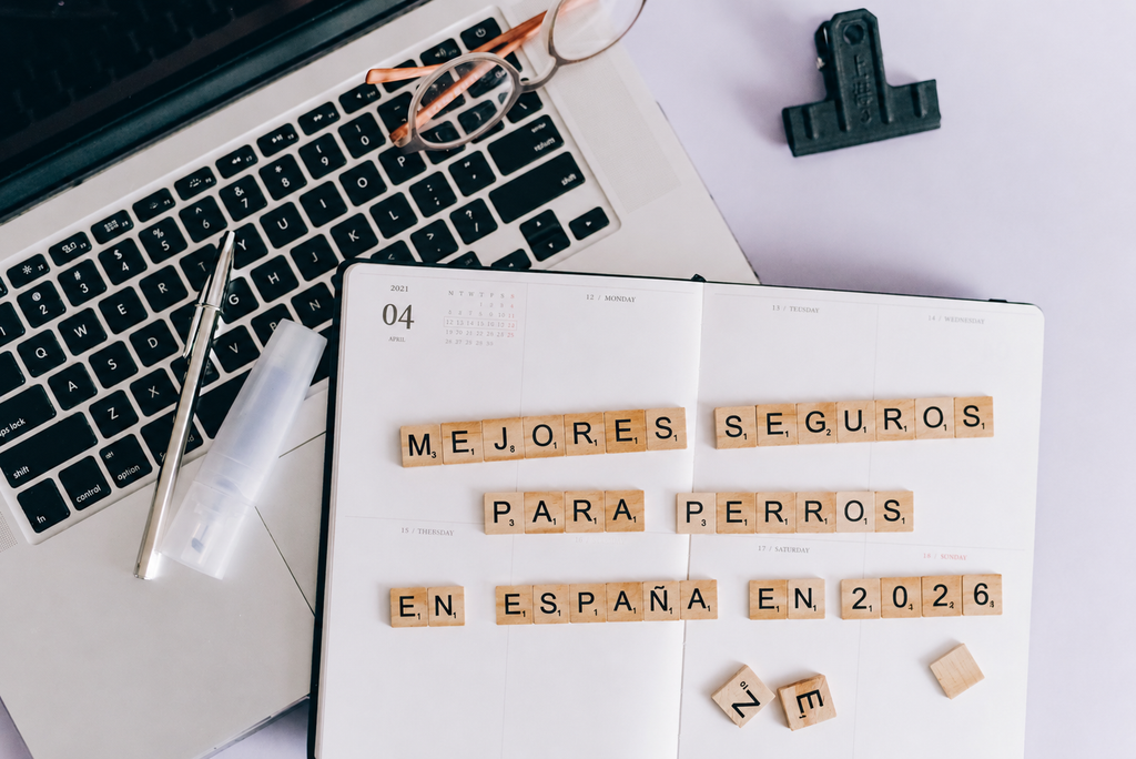 Comparativa de seguros para perros