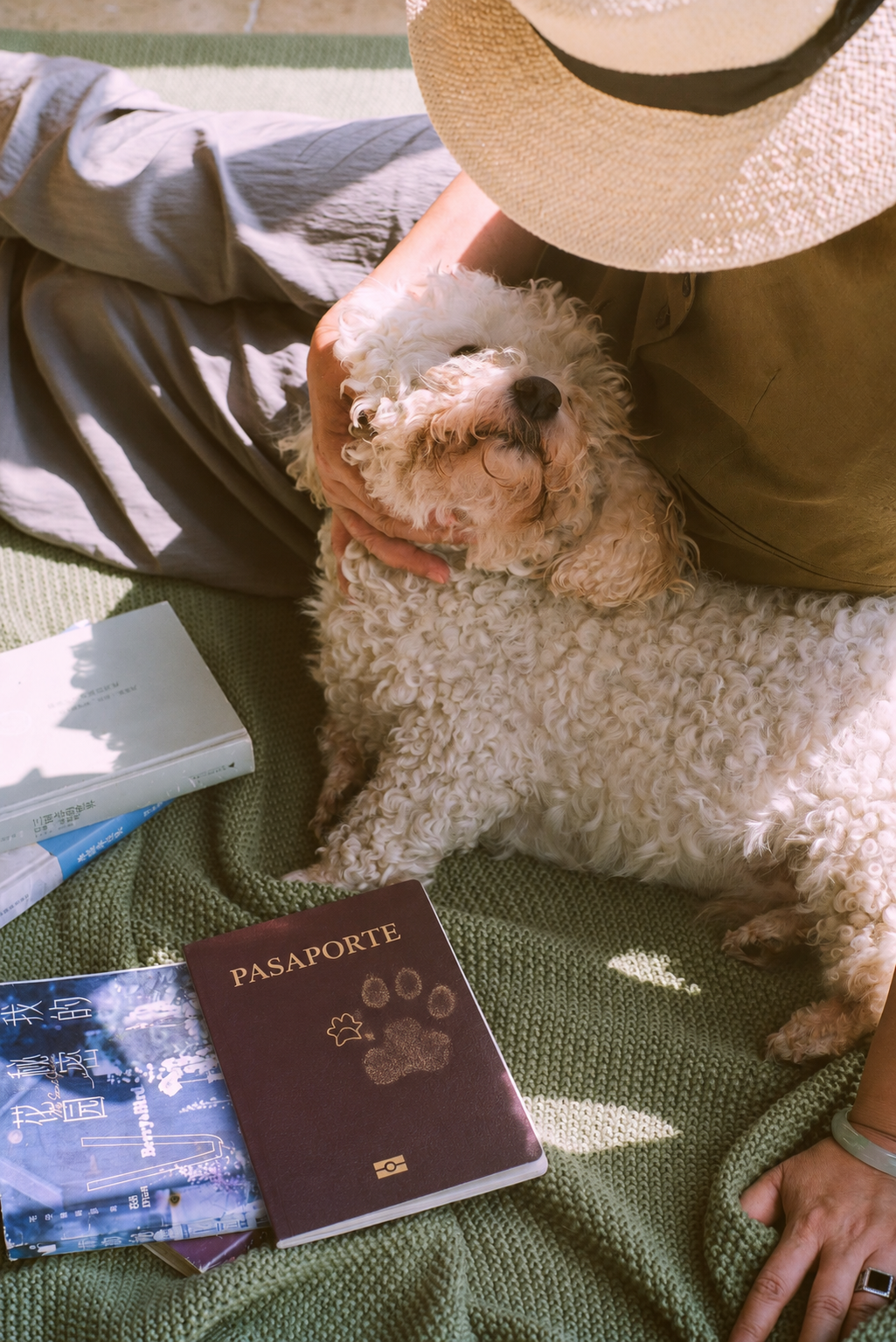 Seguro de mascotas para viajar al extranjero
