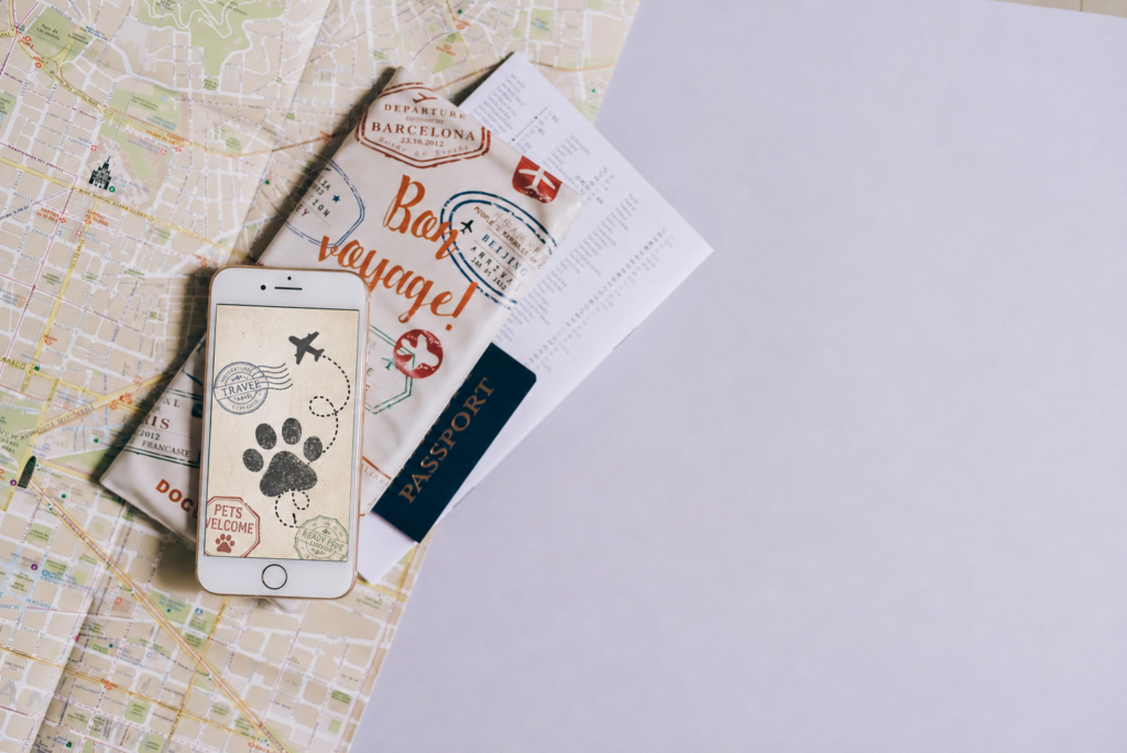 Seguro de mascotas para viajar al extranjero
