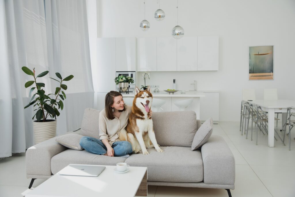 Seguro de hogar vs seguro específico para tu mascota