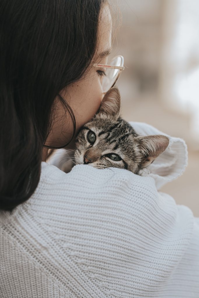 seguro para gatos en España