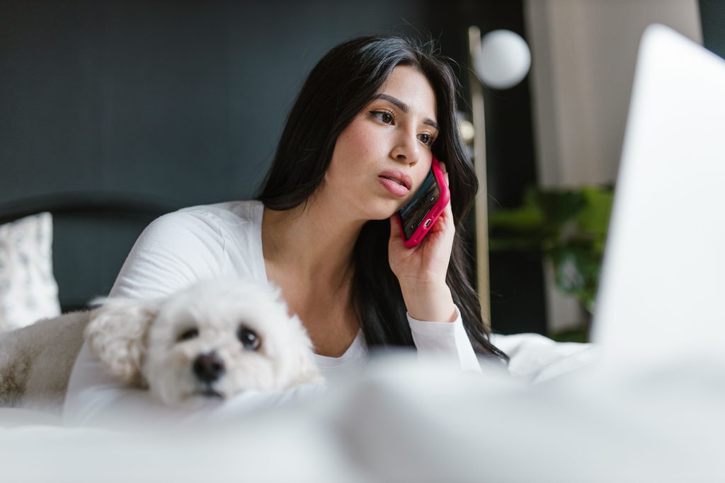 seguros con atención veterinaria 24h