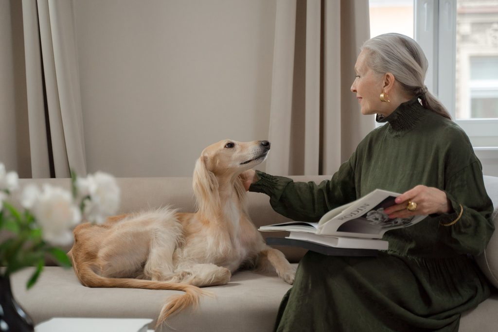 a qué edad es más barato asegurar a tu mascota